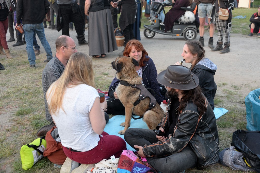 ../Images/Keltfest 2019 zaterdag 534.jpg